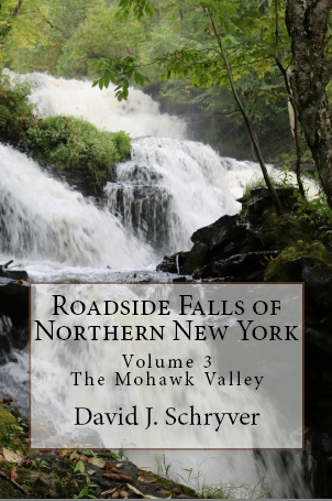 roadsidefallsofnnyvol3cover.jpg