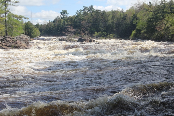 Crystal Falls