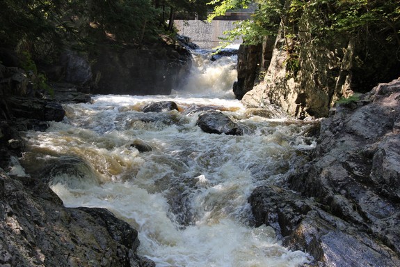 Christine Falls