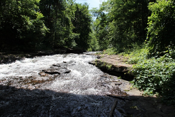 Schuyler Falls